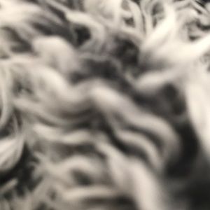 Meet your Posher, Yasmin